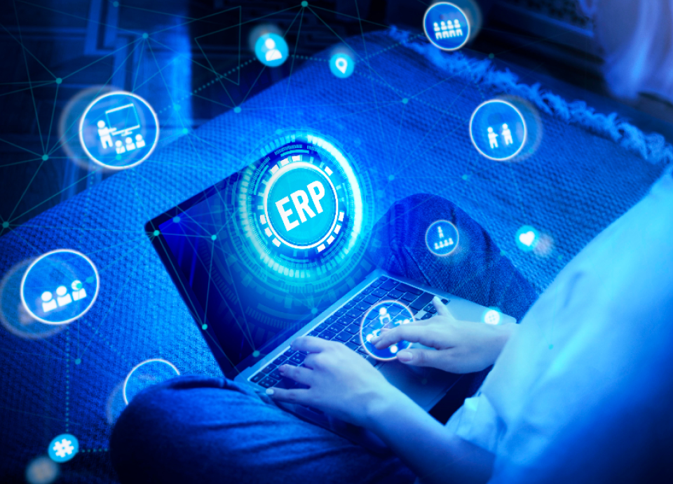 ERP Development